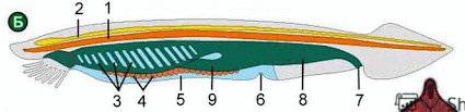0602xi47-0e9e-571x138.png