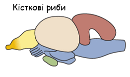 0602xi5o-99ce-329x195.png