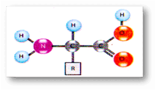 0602xl4o-8db2-318x184.png