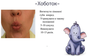 0602xm2m-0cc3-313x193.png