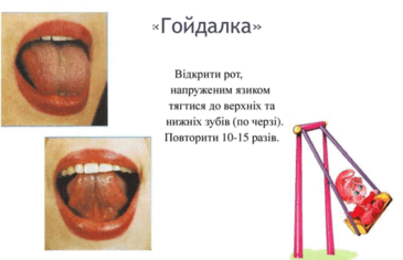 0602xm35-7046-365x236.png