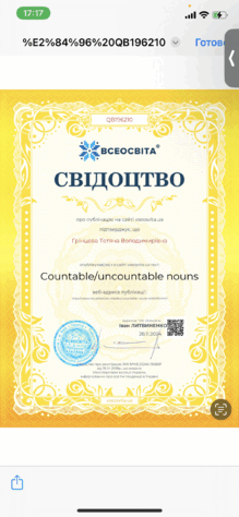  Countable/uncountable nouns