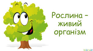 Самостійна робота з теми: "Рослина — цілісний інтегрований організм".