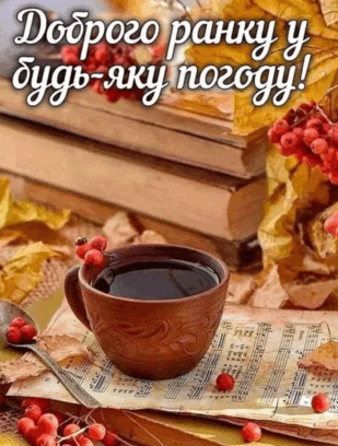 0602xpv6-f094-309x408.png