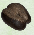 0602xqtw-5dcf-120x123.png