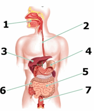 0602xrm4-008b-303x358.png