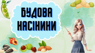 Презентація для учнів 7 класу на тему: "Будова насінини"