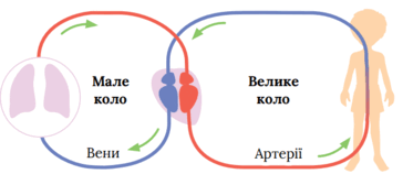 0602xryf-6ed0-364x158.png