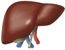 0602xs33-c4f8-253x195.png