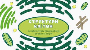 Презентація на тему "Структури клітин, які забезпечують процеси обміну речовин та енергії"