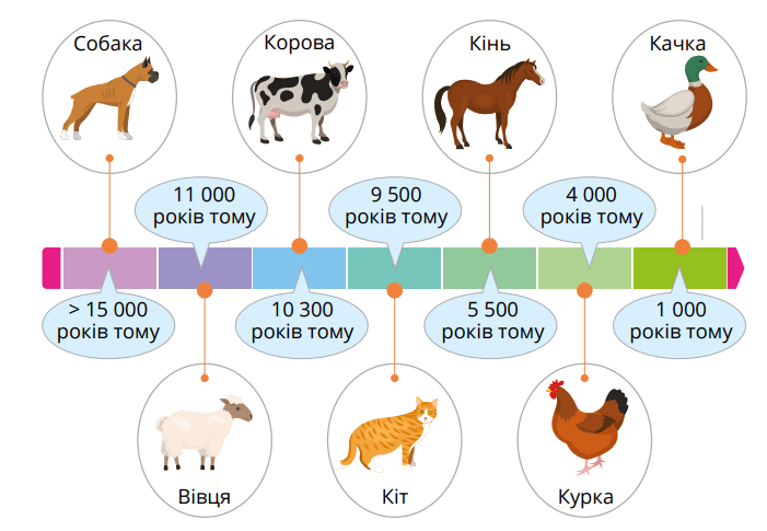 0602xtur-1550-701x485.png