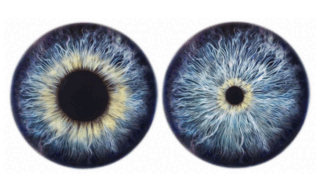 0602y1d9-4450-322x195.png