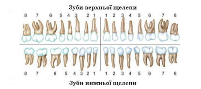 0602y7l8-2a11-415x184.jpg