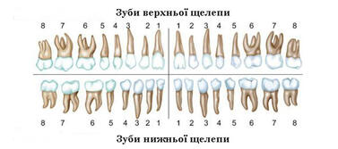 0602y7nd-1eb9-377x167.jpg