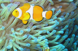 0602y87r-0df9-251x166.png
