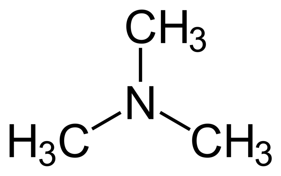 0602yasl-350b-940x588.png