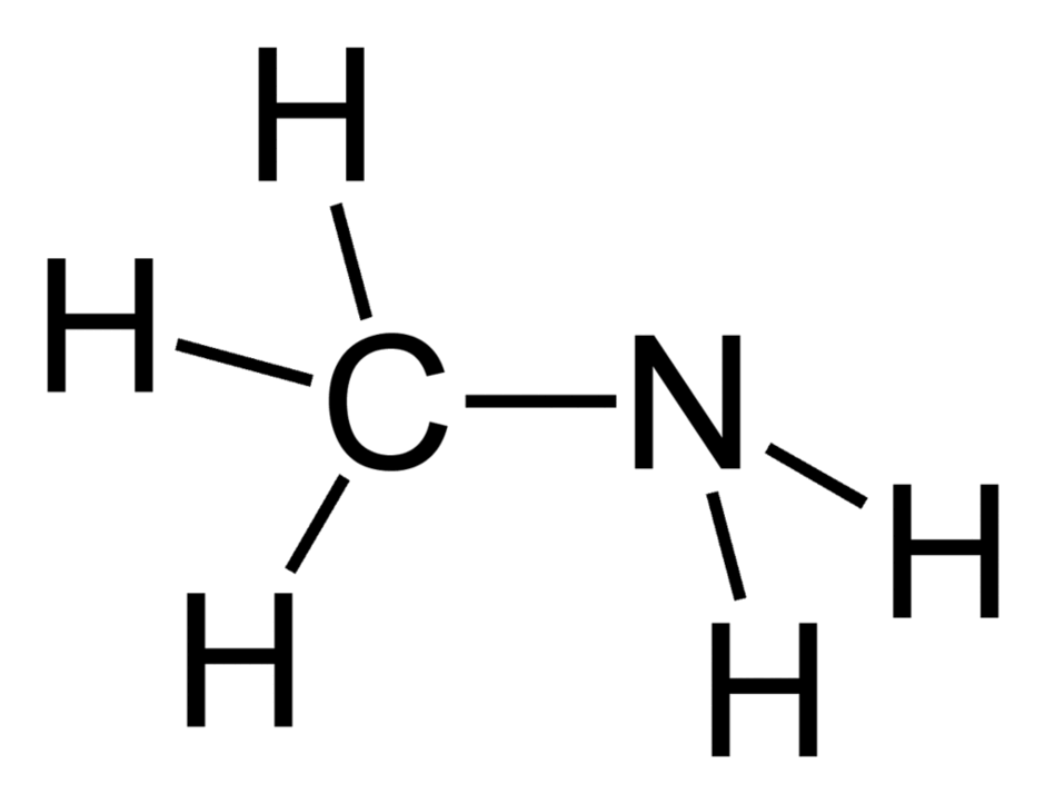 0602yasu-5283-940x723.png