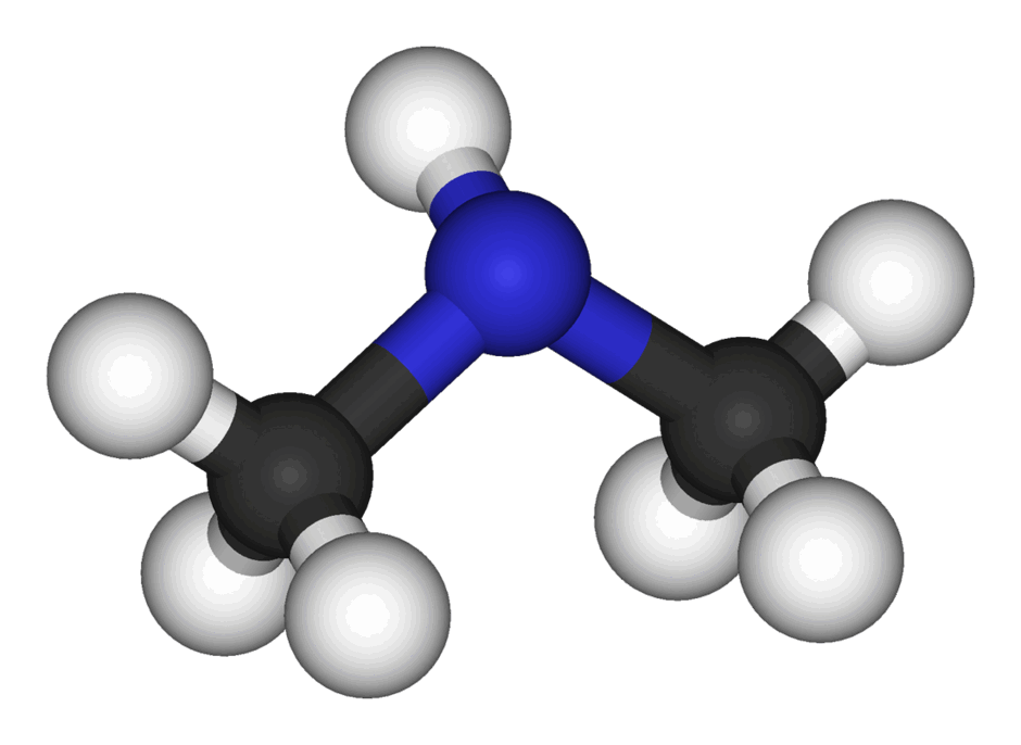 0602yatn-6404-940x686.png