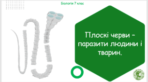 Презентація, конспект уроку та робочі аркуші на тему "Плоскі черви – паразити людини і тварин". 7 клас НУШ
