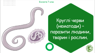 Презентація, конспект уроку та робочі аркуші на тему "Круглі черви (нематоди) – паразити людини, тварин і рослин". 7 клас НУШ