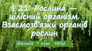 Презентація  «Рослина — цілісний організм. Взаємозв’язки органів рослин»  7клас  НУШ