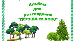 Альбом для розглядання "Дерева і кущі"