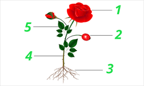 0602yjnr-a948-289x174.png
