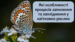 §29 Які особливості процесів запилення та запліднення у квіткових рослин