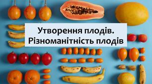 §30 Які особливості процесів запилення та запліднення у квіткових рослин