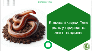 Презентація, конспект уроку та робочі аркуші на тему "Кільчасті черви, їхня роль у природі та житті людини". 7 клас НУШ