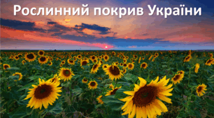 Презентація до уроку: "Рослинний покрив України"