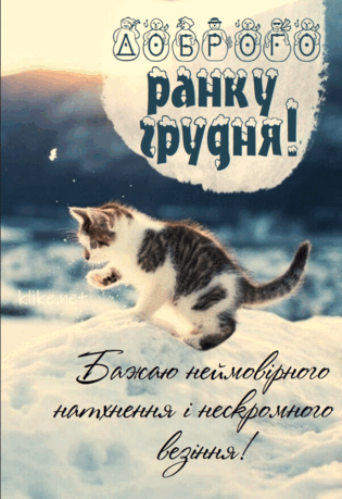 0602yn6p-f85a-315x459.png