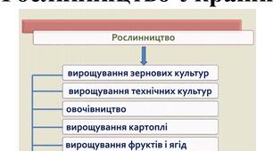 Презентація для 9 класу на тему "Рослинництво України"