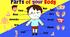 Конспект уроку “THE PARTS OF THE BODY” для 1 класу