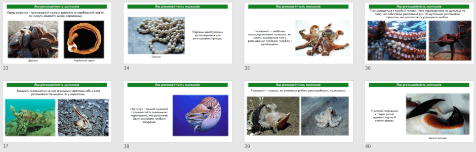 0602yoab-5761-940x301.png