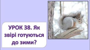 Як звірі готуються до зими. Які невидимі ланцюги є в осінньому лісі (с. 120-123)