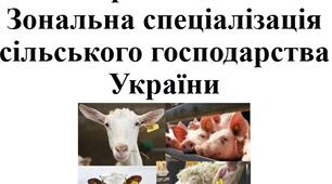 Презентація для з географії 9 класу на тему "Тваринництво України. сільськогосподарські зони"