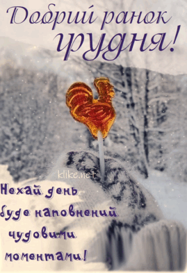 0602yqzt-4463-269x393.png