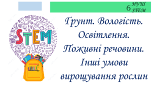 Ґрунт. Вологість. Освітлення. Поживні речовини. Інші умови вирощування рослин