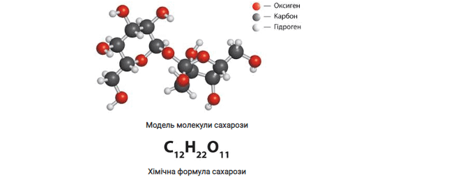 0602ysn8-b95e-680x258.png