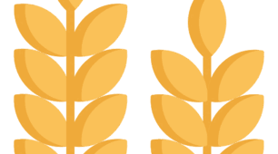 Додавання до кліпу ефектів