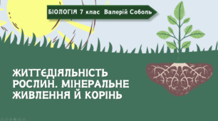 7 клас НУШ.   Життєдіяльність рослин. Мінеральне живлення й корінь
