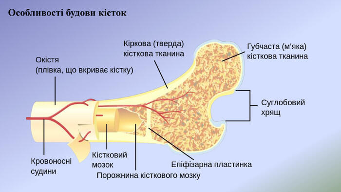 0602yy04-6a4a-700x394.jpg