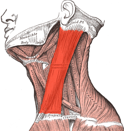 0602yybe-b7e1-422x446.png