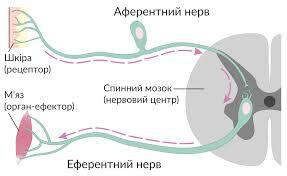 0602yyi2-01cb-613x376.jpg