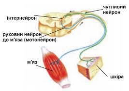 0602yyjq-15da-620x439.jpg