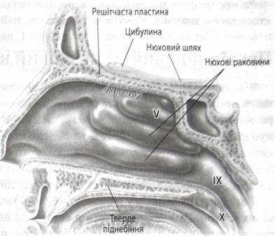 0602yykp-813e-485x417.jpg