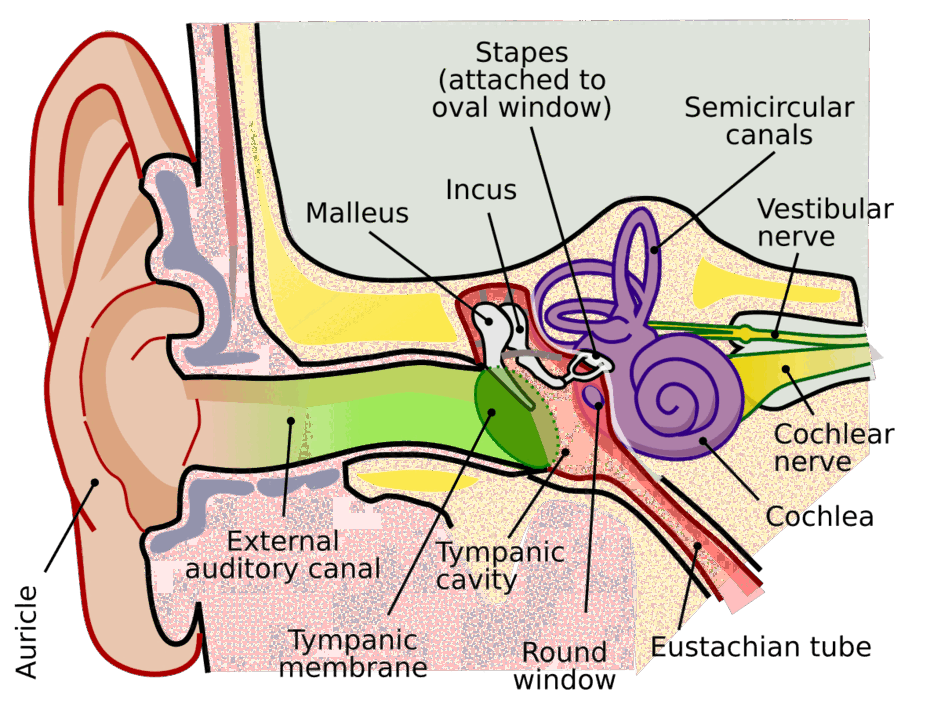 0602yysa-22bf-940x714.png