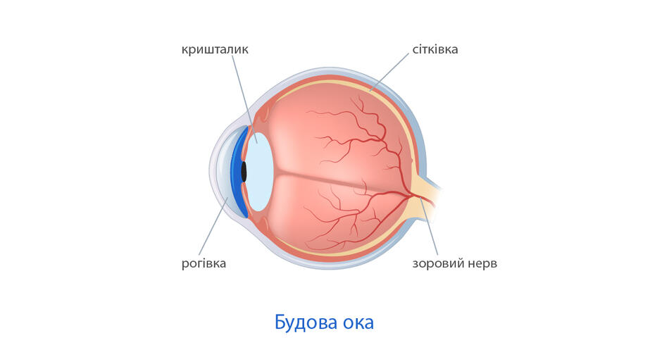 0602yytr-8fbb-940x500.jpg