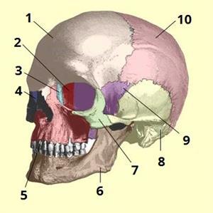 0602yyvh-8792-434x433.jpg